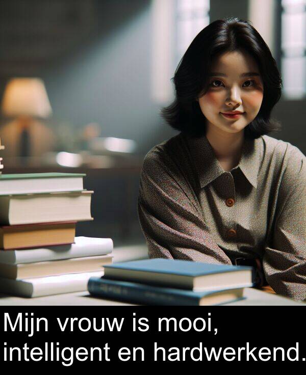 vrouw: Mijn vrouw is mooi, intelligent en hardwerkend.