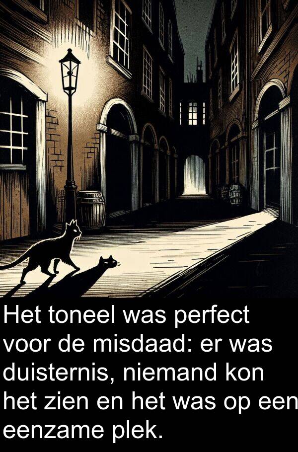 duisternis: Het toneel was perfect voor de misdaad: er was duisternis, niemand kon het zien en het was op een eenzame plek.
