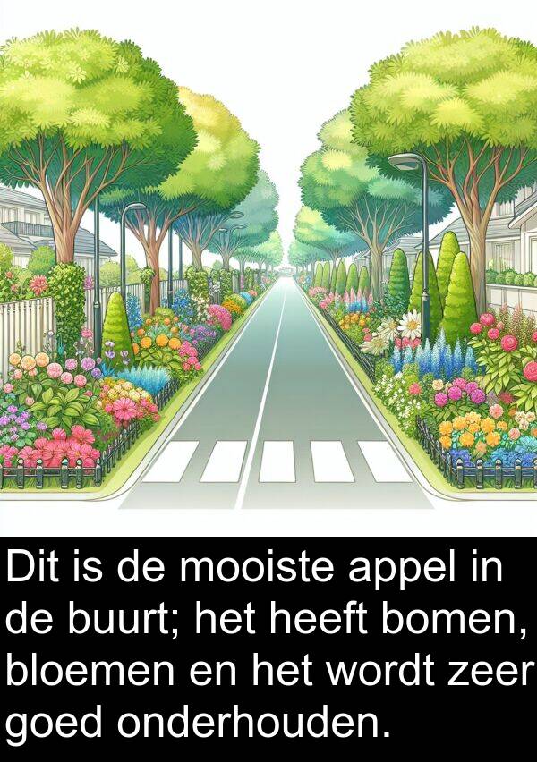 buurt: Dit is de mooiste appel in de buurt; het heeft bomen, bloemen en het wordt zeer goed onderhouden.