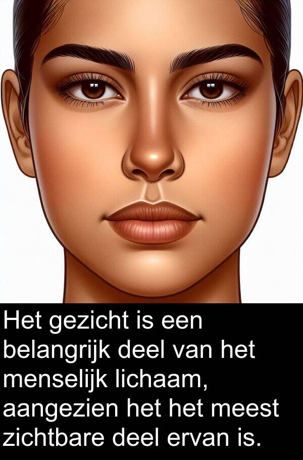 gezicht: Het gezicht is een belangrijk deel van het menselijk lichaam, aangezien het het meest zichtbare deel ervan is.