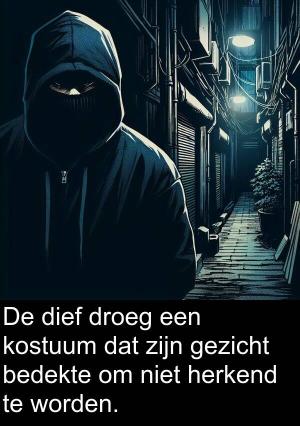 gezicht: De dief droeg een kostuum dat zijn gezicht bedekte om niet herkend te worden.