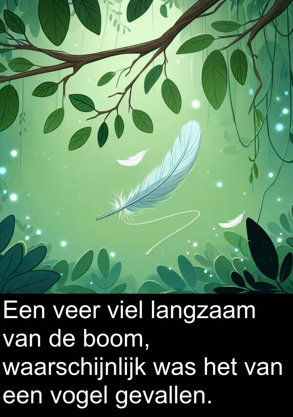 gevallen: Een veer viel langzaam van de boom, waarschijnlijk was het van een vogel gevallen.