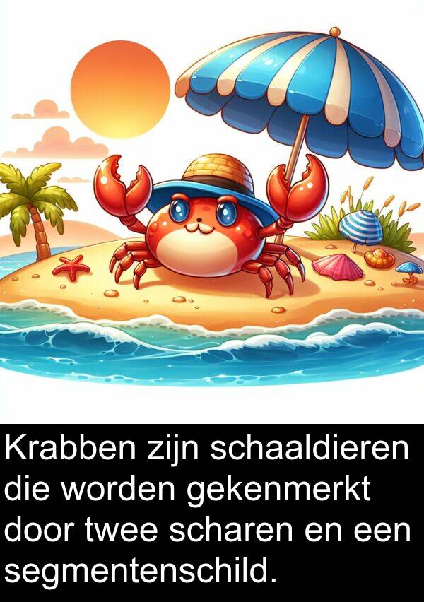 gekenmerkt: Krabben zijn schaaldieren die worden gekenmerkt door twee scharen en een segmentenschild.