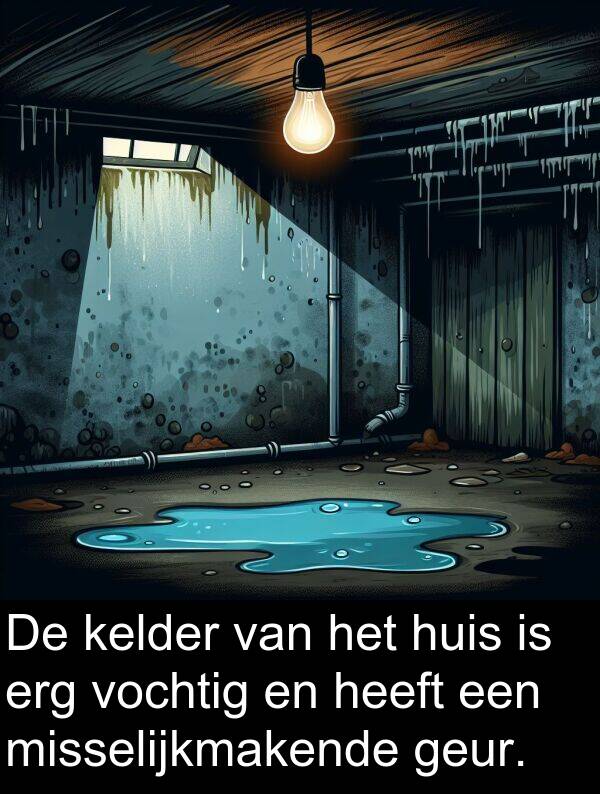 geur: De kelder van het huis is erg vochtig en heeft een misselijkmakende geur.