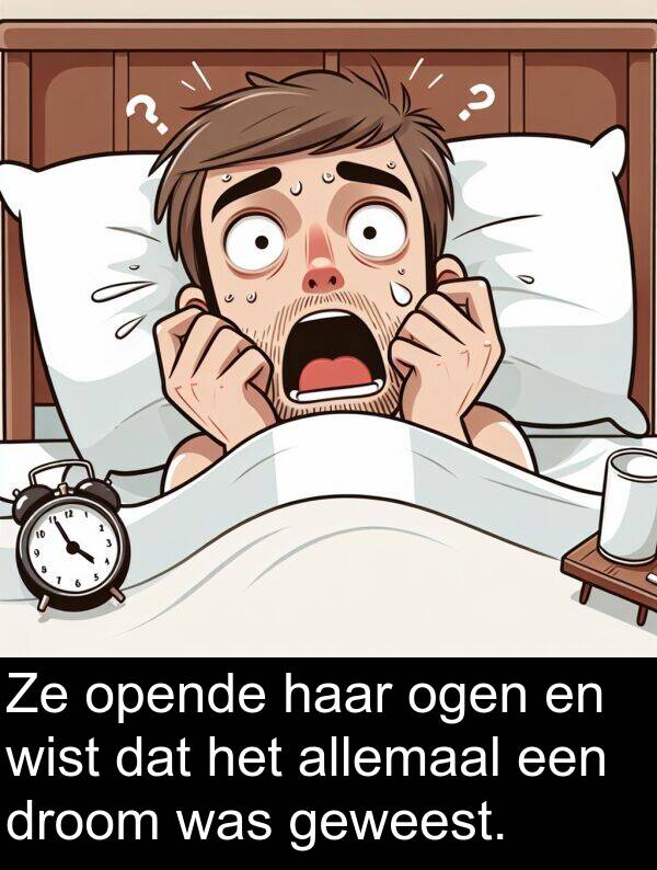 geweest: Ze opende haar ogen en wist dat het allemaal een droom was geweest.