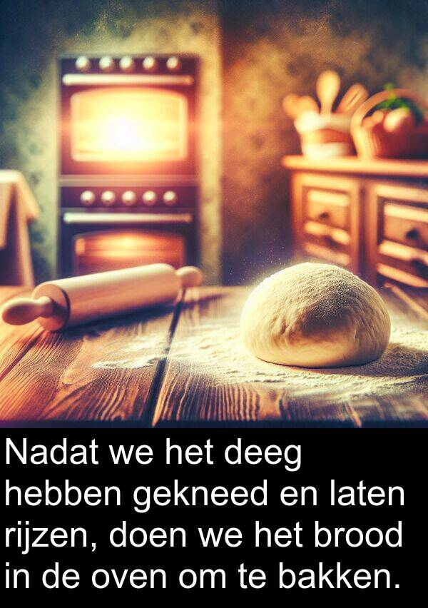 gekneed: Nadat we het deeg hebben gekneed en laten rijzen, doen we het brood in de oven om te bakken.