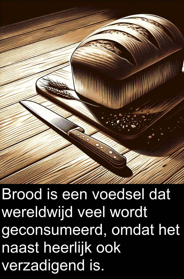 geconsumeerd: Brood is een voedsel dat wereldwijd veel wordt geconsumeerd, omdat het naast heerlijk ook verzadigend is.