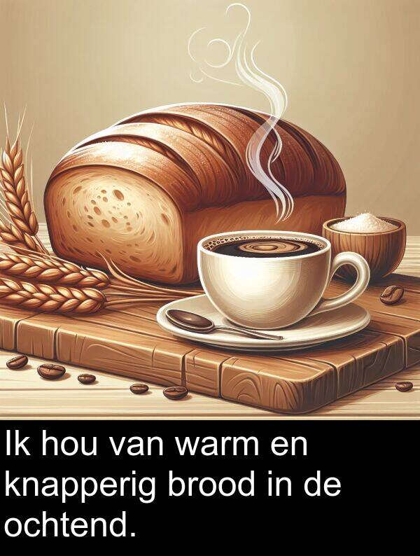 warm: Ik hou van warm en knapperig brood in de ochtend.