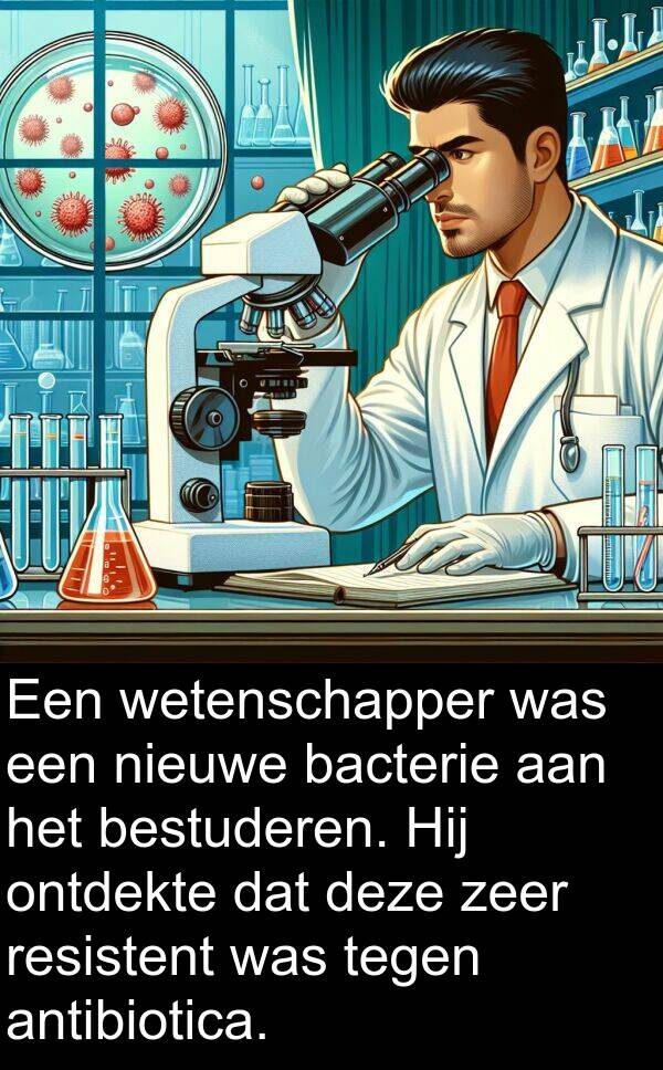 bestuderen: Een wetenschapper was een nieuwe bacterie aan het bestuderen. Hij ontdekte dat deze zeer resistent was tegen antibiotica.