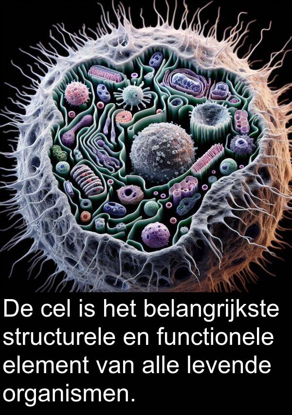 functionele: De cel is het belangrijkste structurele en functionele element van alle levende organismen.