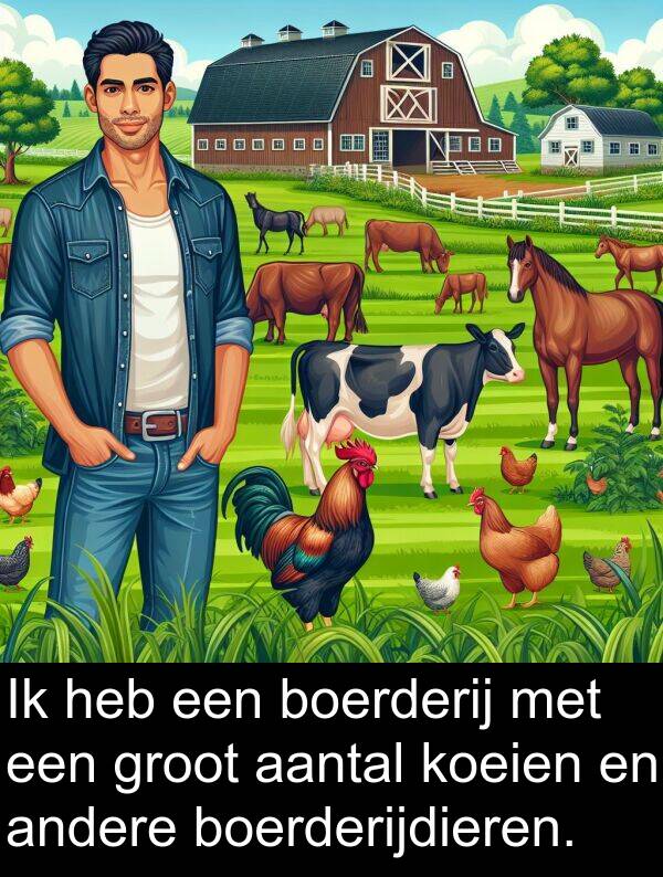groot: Ik heb een boerderij met een groot aantal koeien en andere boerderijdieren.