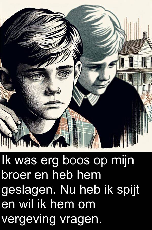 vragen: Ik was erg boos op mijn broer en heb hem geslagen. Nu heb ik spijt en wil ik hem om vergeving vragen.