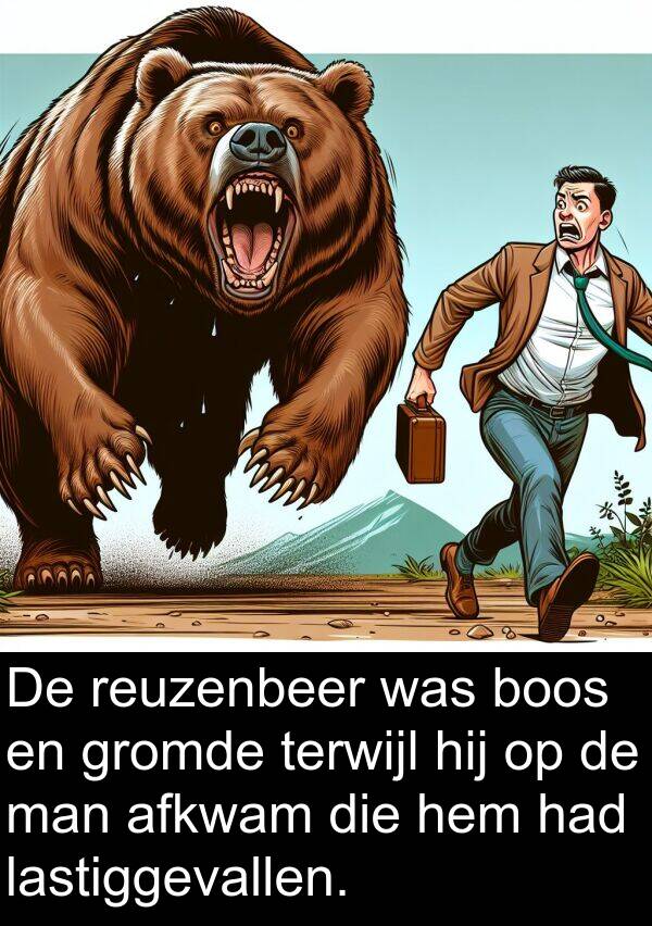gromde: De reuzenbeer was boos en gromde terwijl hij op de man afkwam die hem had lastiggevallen.