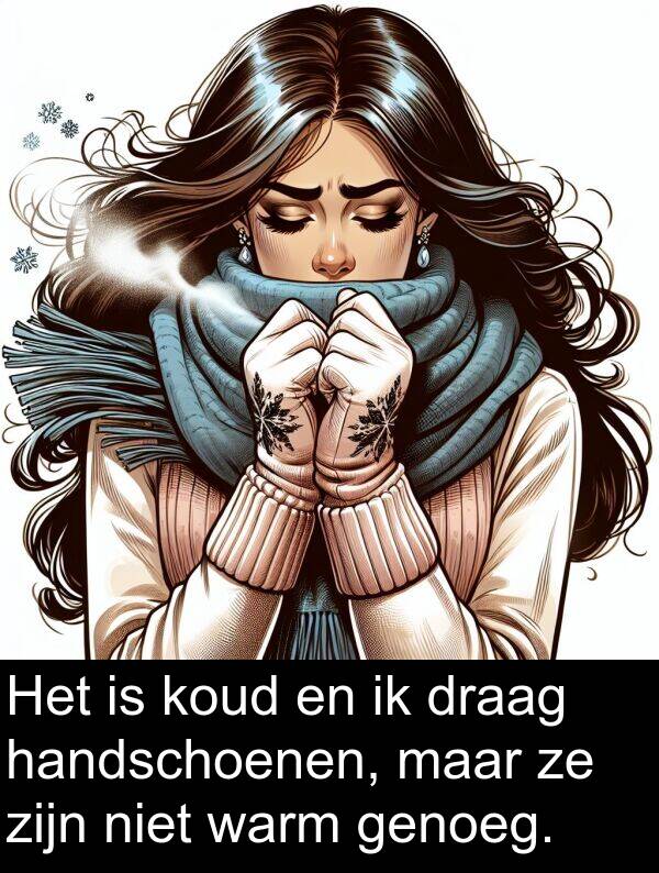 draag: Het is koud en ik draag handschoenen, maar ze zijn niet warm genoeg.