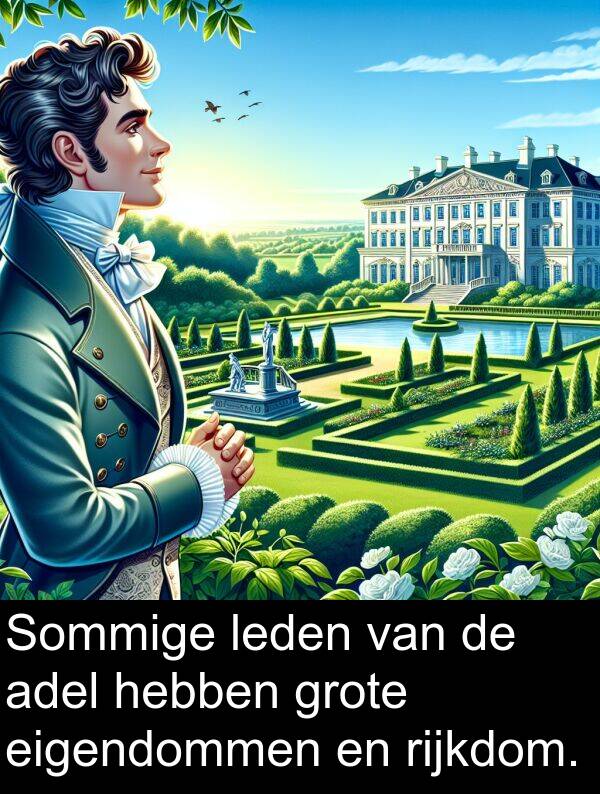 rijkdom: Sommige leden van de adel hebben grote eigendommen en rijkdom.