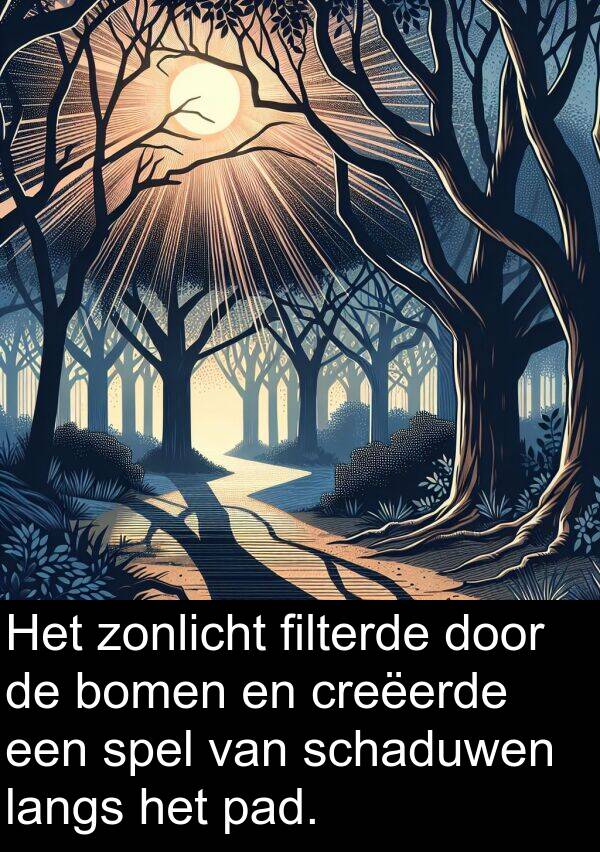 zonlicht: Het zonlicht filterde door de bomen en creëerde een spel van schaduwen langs het pad.