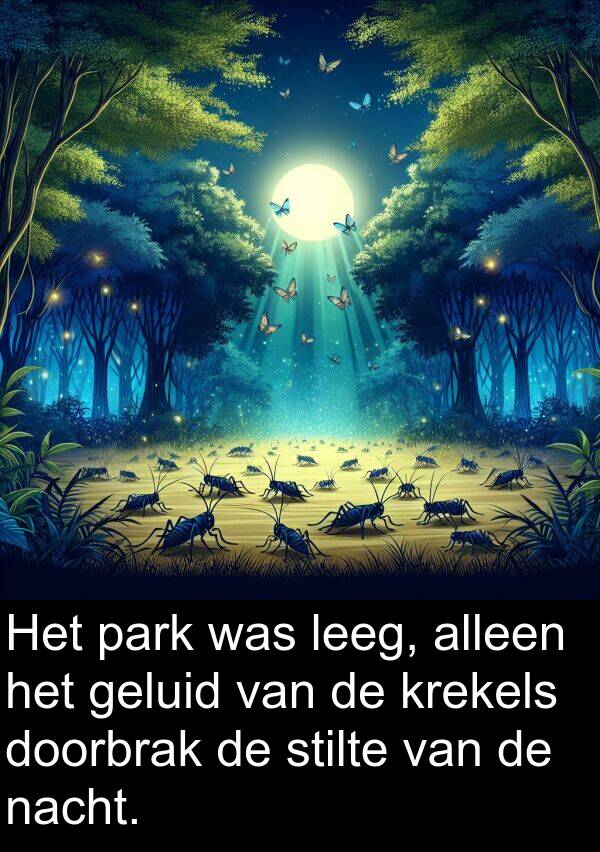 geluid: Het park was leeg, alleen het geluid van de krekels doorbrak de stilte van de nacht.