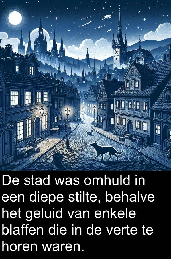 geluid: De stad was omhuld in een diepe stilte, behalve het geluid van enkele blaffen die in de verte te horen waren.