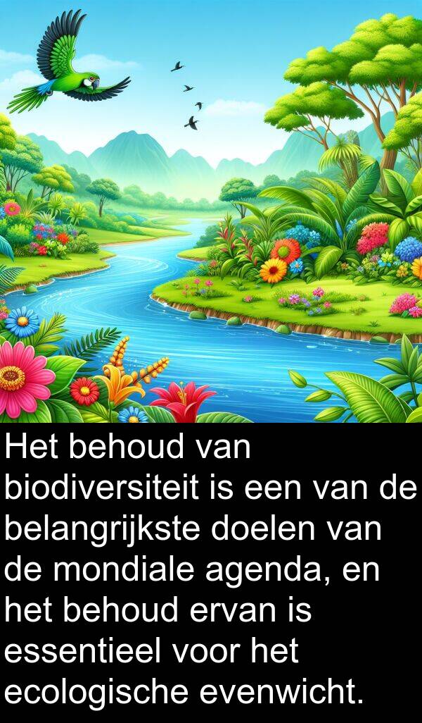 belangrijkste: Het behoud van biodiversiteit is een van de belangrijkste doelen van de mondiale agenda, en het behoud ervan is essentieel voor het ecologische evenwicht.