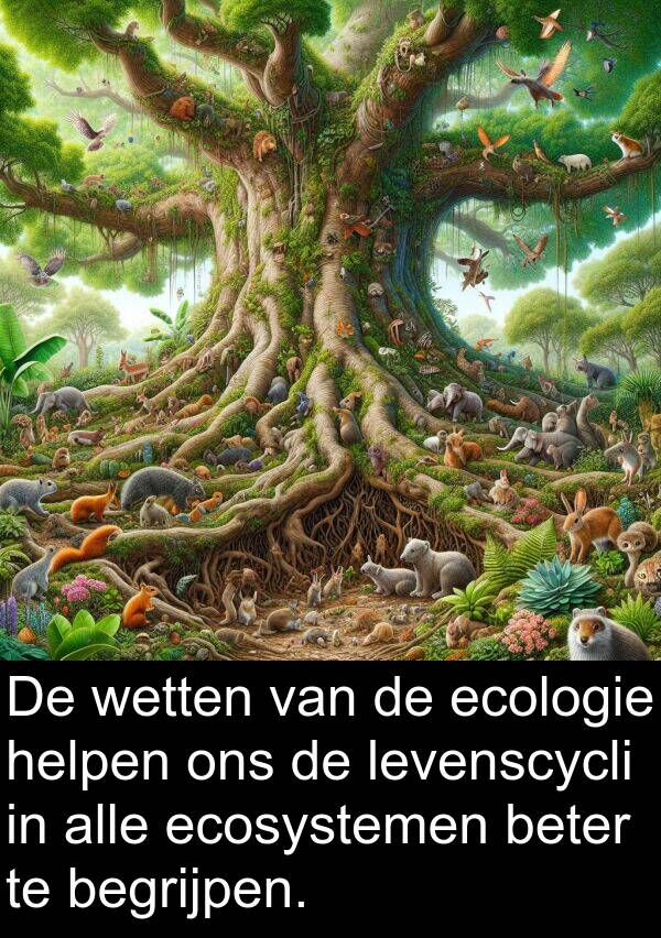 beter: De wetten van de ecologie helpen ons de levenscycli in alle ecosystemen beter te begrijpen.