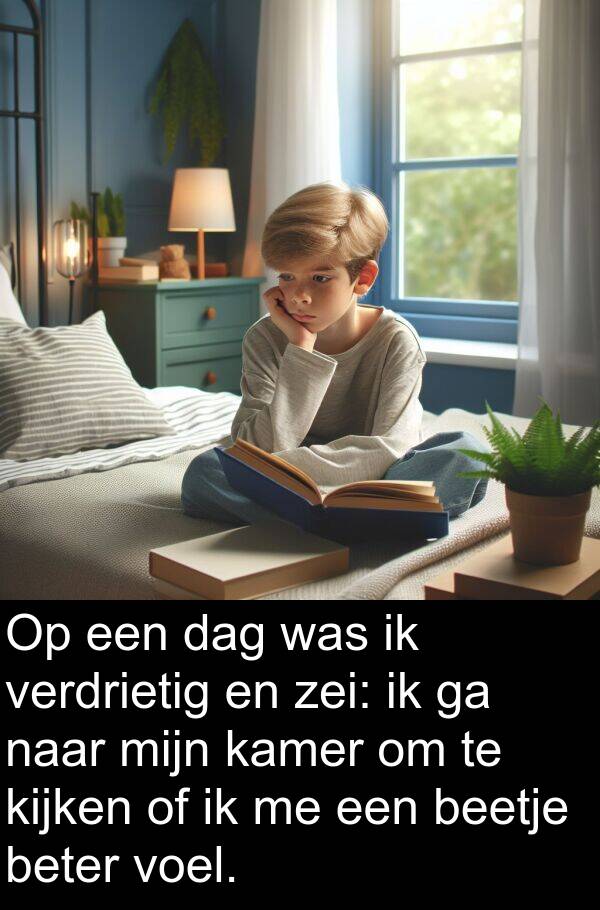 zei: Op een dag was ik verdrietig en zei: ik ga naar mijn kamer om te kijken of ik me een beetje beter voel.