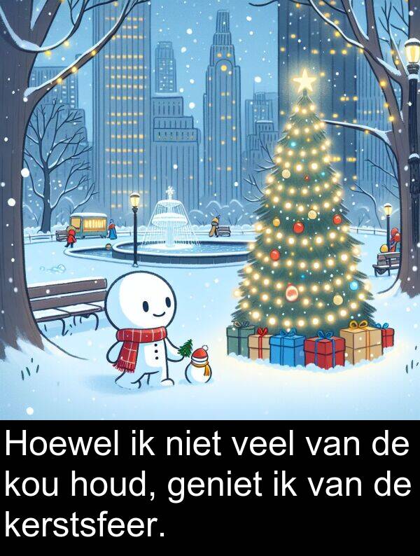 kou: Hoewel ik niet veel van de kou houd, geniet ik van de kerstsfeer.