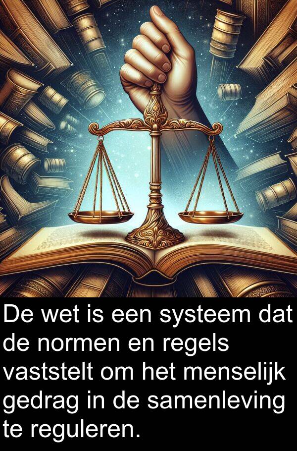 menselijk: De wet is een systeem dat de normen en regels vaststelt om het menselijk gedrag in de samenleving te reguleren.