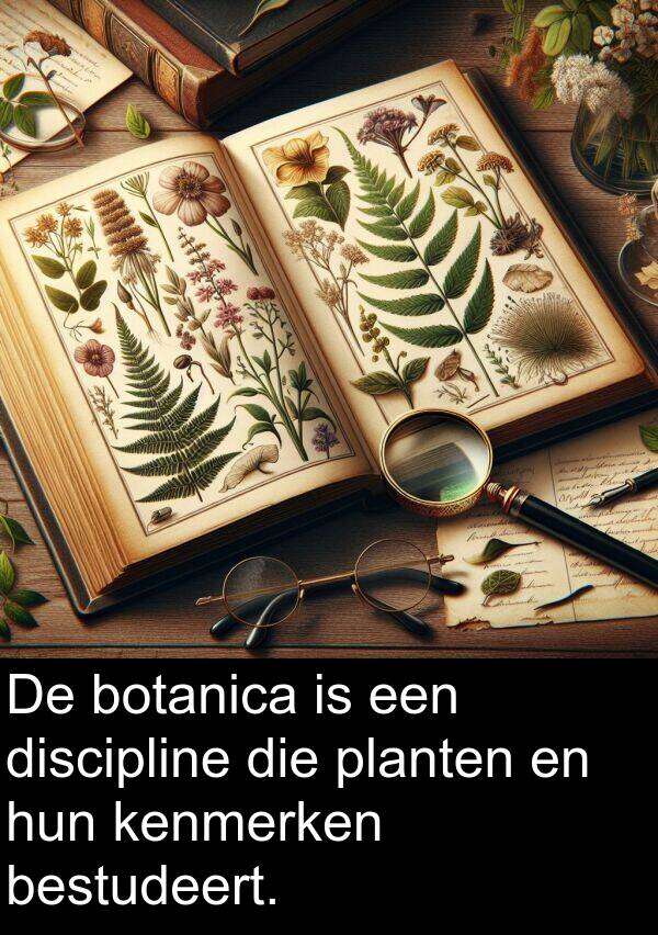 bestudeert: De botanica is een discipline die planten en hun kenmerken bestudeert.