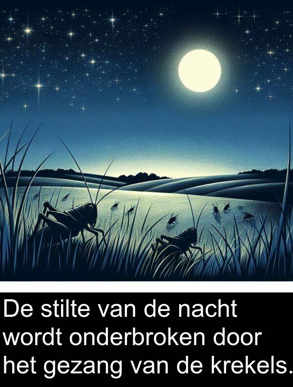gezang: De stilte van de nacht wordt onderbroken door het gezang van de krekels.