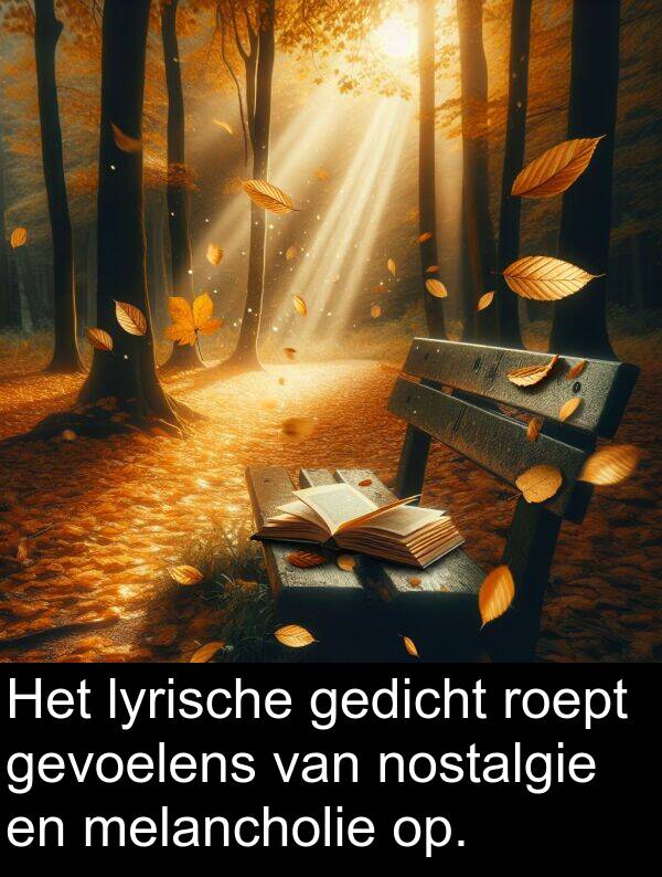 gevoelens: Het lyrische gedicht roept gevoelens van nostalgie en melancholie op.