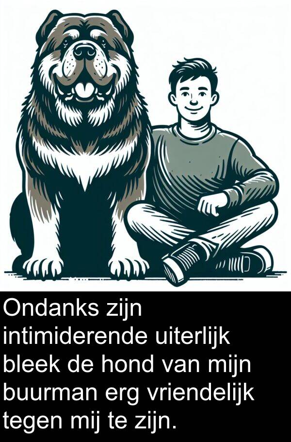 intimiderende: Ondanks zijn intimiderende uiterlijk bleek de hond van mijn buurman erg vriendelijk tegen mij te zijn.