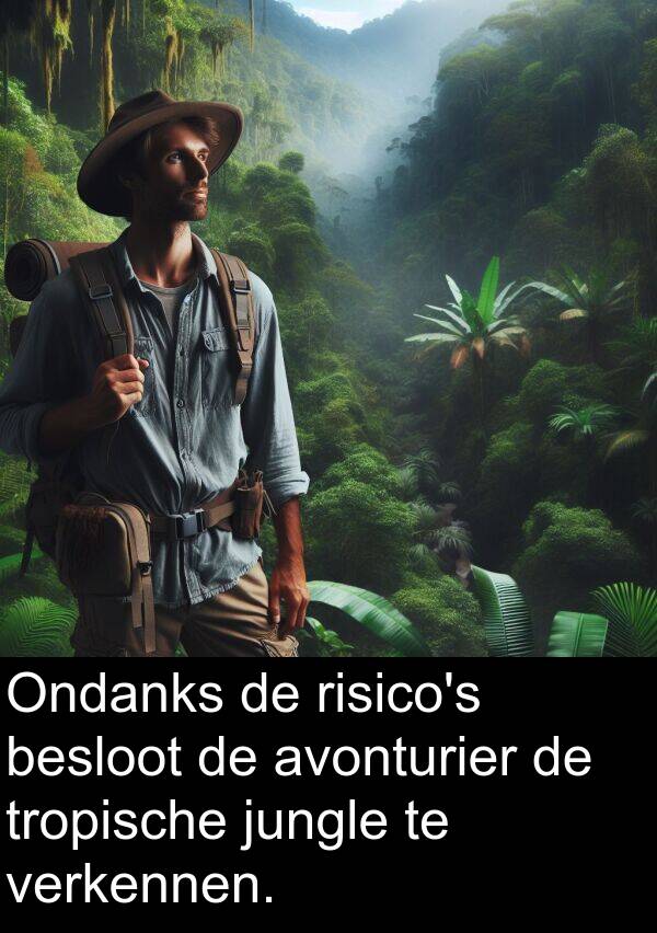 verkennen: Ondanks de risico's besloot de avonturier de tropische jungle te verkennen.