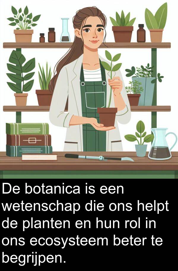 planten: De botanica is een wetenschap die ons helpt de planten en hun rol in ons ecosysteem beter te begrijpen.