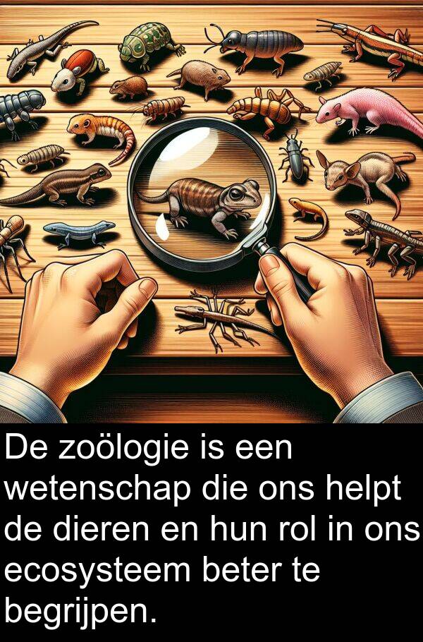 zoölogie: De zoölogie is een wetenschap die ons helpt de dieren en hun rol in ons ecosysteem beter te begrijpen.