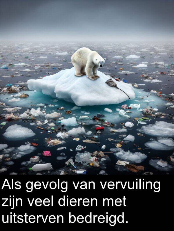 gevolg: Als gevolg van vervuiling zijn veel dieren met uitsterven bedreigd.
