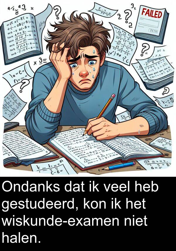 kon: Ondanks dat ik veel heb gestudeerd, kon ik het wiskunde-examen niet halen.
