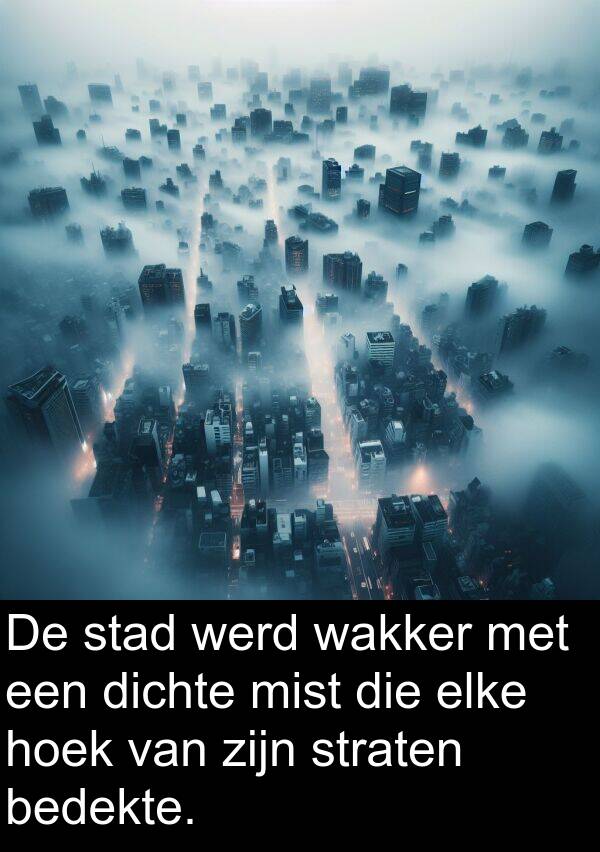 hoek: De stad werd wakker met een dichte mist die elke hoek van zijn straten bedekte.