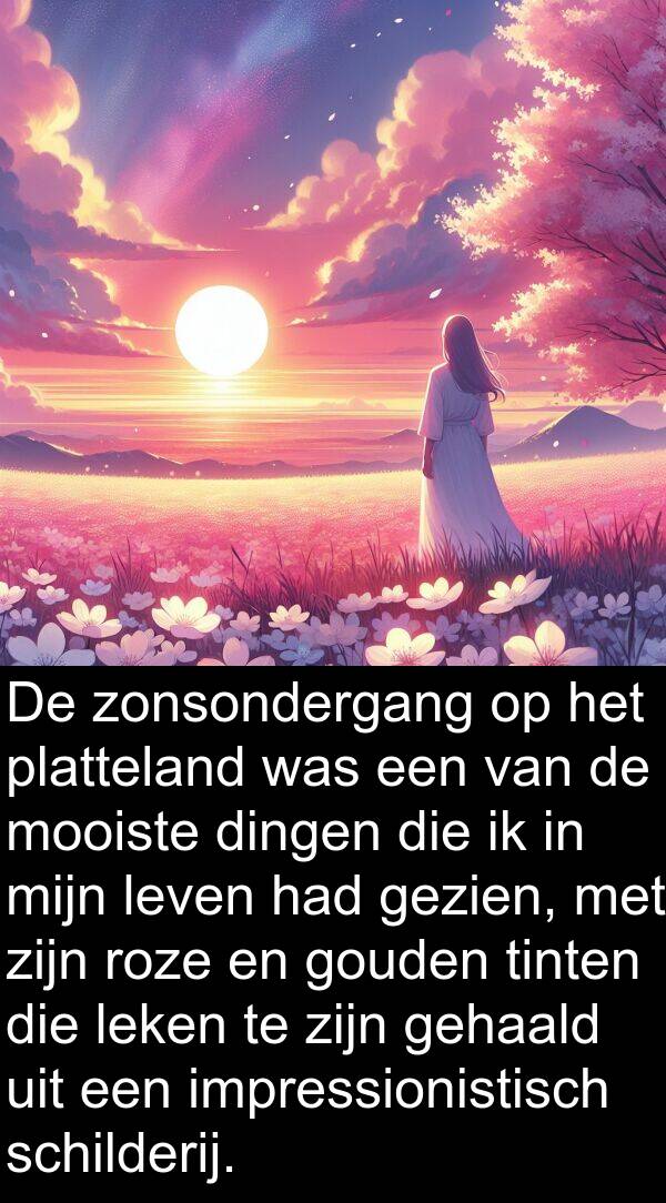 gouden: De zonsondergang op het platteland was een van de mooiste dingen die ik in mijn leven had gezien, met zijn roze en gouden tinten die leken te zijn gehaald uit een impressionistisch schilderij.