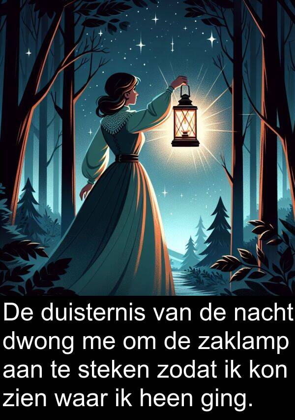 ging: De duisternis van de nacht dwong me om de zaklamp aan te steken zodat ik kon zien waar ik heen ging.