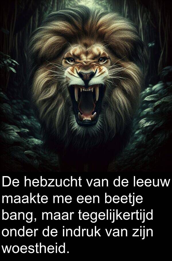 onder: De hebzucht van de leeuw maakte me een beetje bang, maar tegelijkertijd onder de indruk van zijn woestheid.