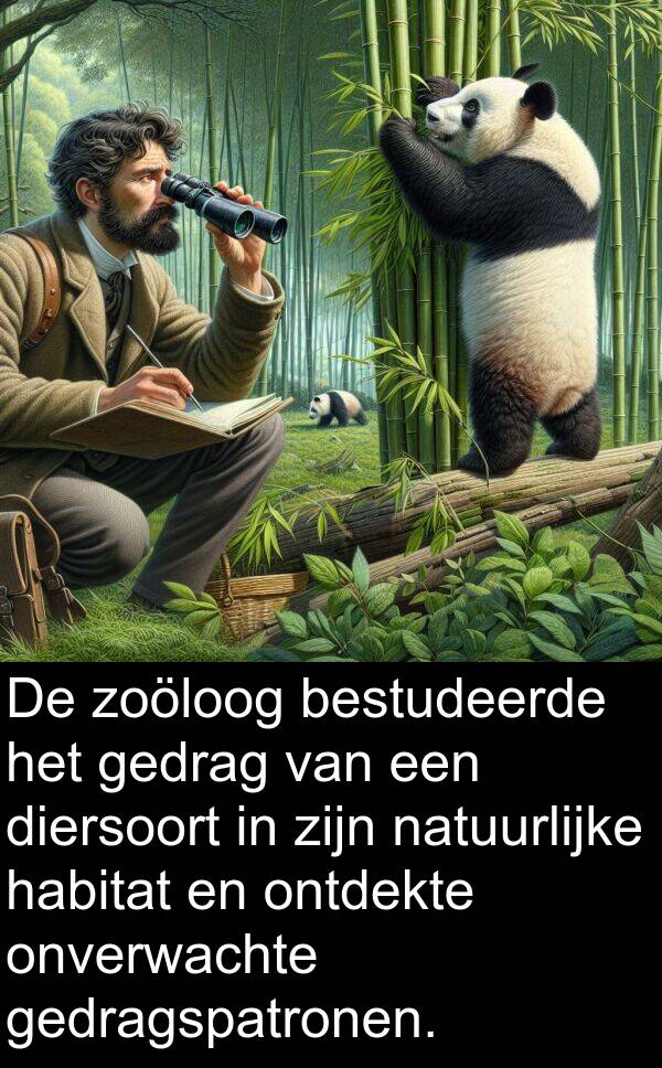 bestudeerde: De zoöloog bestudeerde het gedrag van een diersoort in zijn natuurlijke habitat en ontdekte onverwachte gedragspatronen.