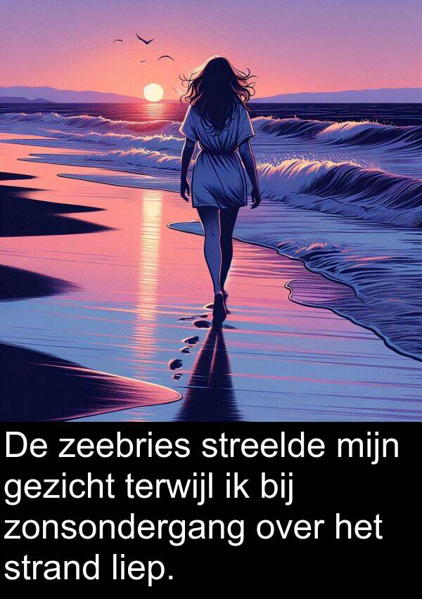 gezicht: De zeebries streelde mijn gezicht terwijl ik bij zonsondergang over het strand liep.