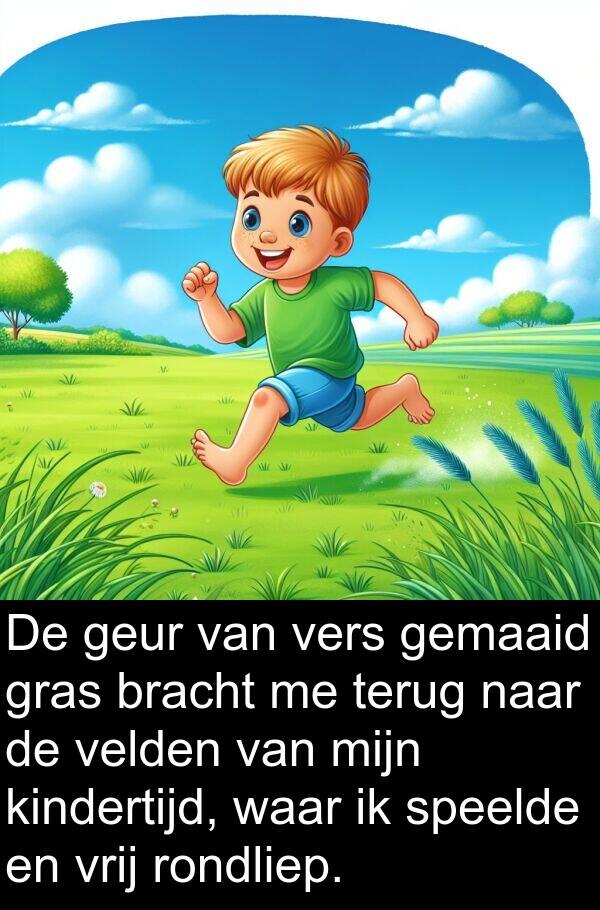geur: De geur van vers gemaaid gras bracht me terug naar de velden van mijn kindertijd, waar ik speelde en vrij rondliep.