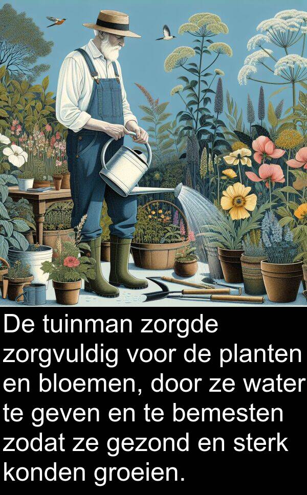geven: De tuinman zorgde zorgvuldig voor de planten en bloemen, door ze water te geven en te bemesten zodat ze gezond en sterk konden groeien.