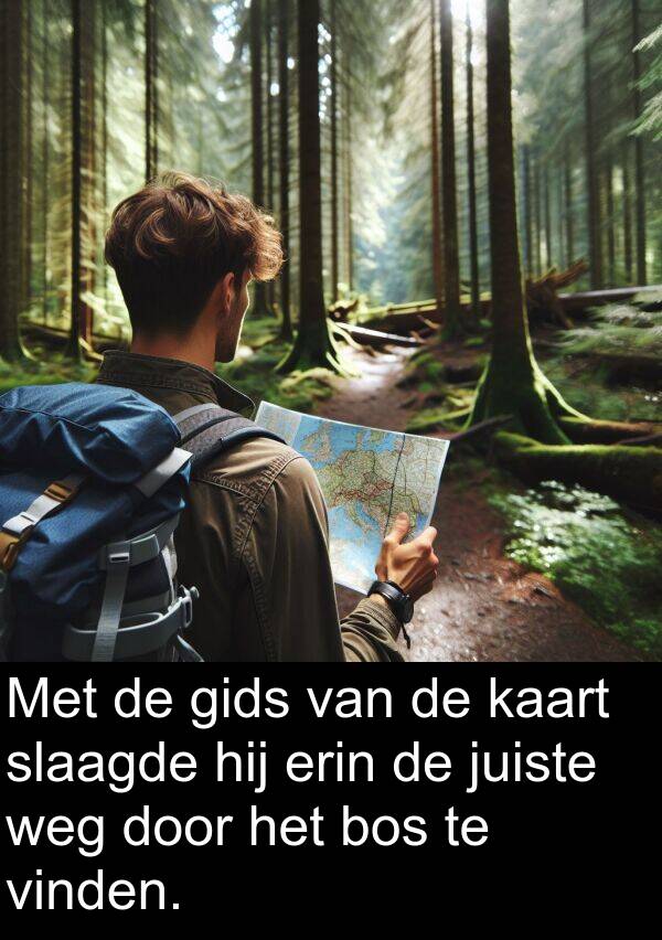 kaart: Met de gids van de kaart slaagde hij erin de juiste weg door het bos te vinden.