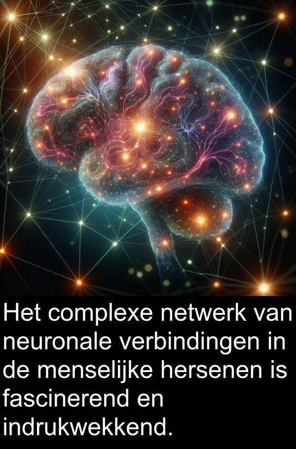 menselijke: Het complexe netwerk van neuronale verbindingen in de menselijke hersenen is fascinerend en indrukwekkend.