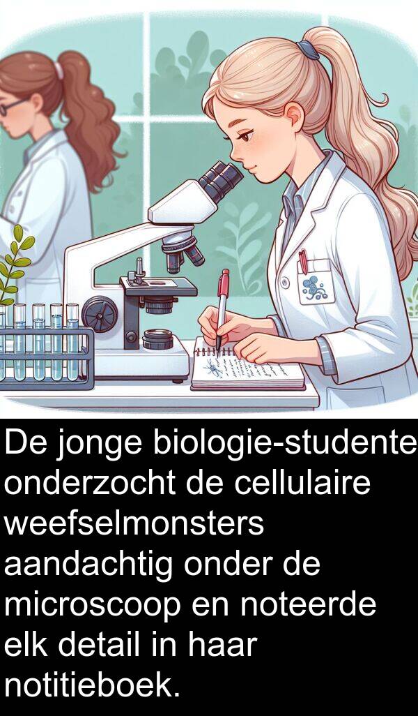 detail: De jonge biologie-studente onderzocht de cellulaire weefselmonsters aandachtig onder de microscoop en noteerde elk detail in haar notitieboek.