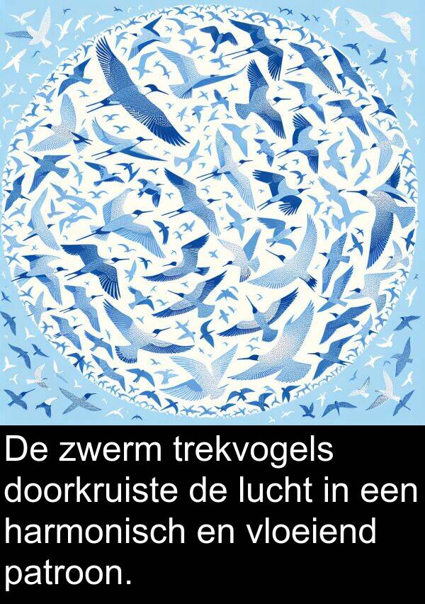 doorkruiste: De zwerm trekvogels doorkruiste de lucht in een harmonisch en vloeiend patroon.
