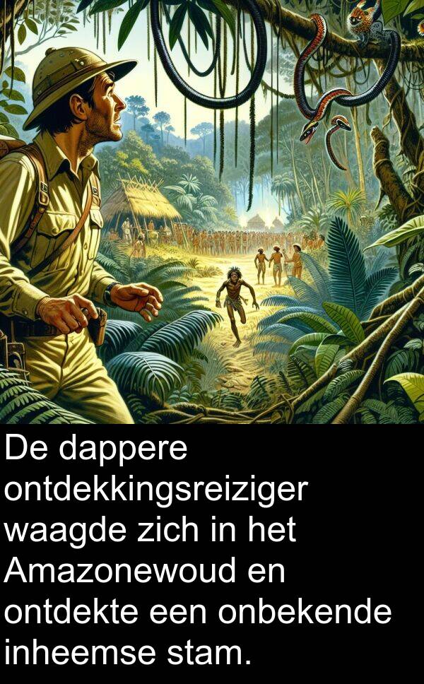 waagde: De dappere ontdekkingsreiziger waagde zich in het Amazonewoud en ontdekte een onbekende inheemse stam.