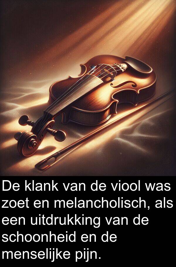 menselijke: De klank van de viool was zoet en melancholisch, als een uitdrukking van de schoonheid en de menselijke pijn.